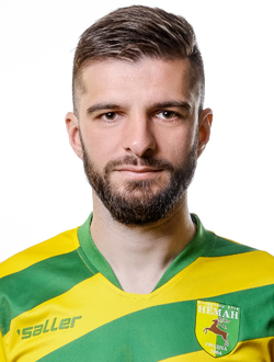 Стойкавіч Даніел